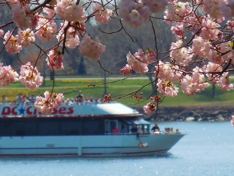 DC Harbor Cruises image 3