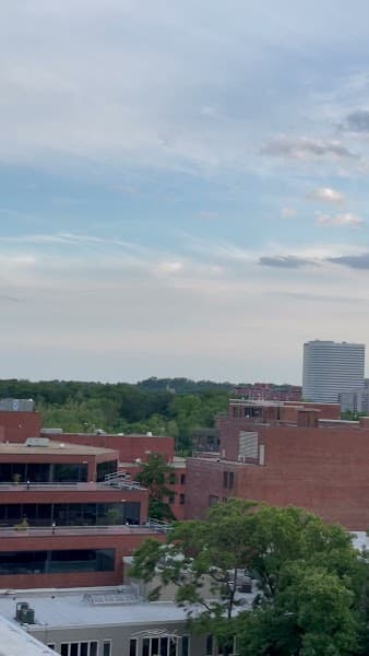 The Rooftop at the Graham image 2