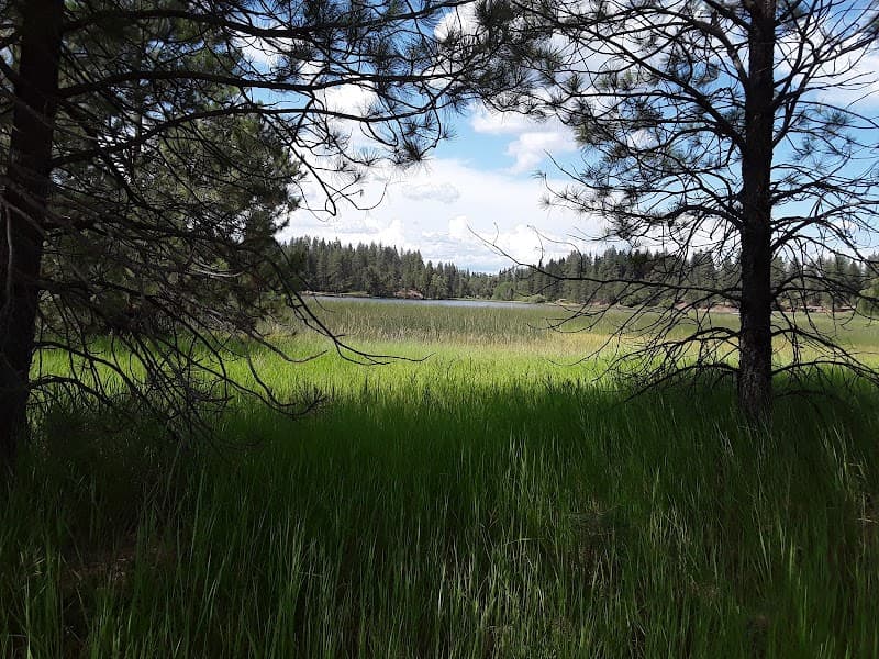 Bear Lake image 3