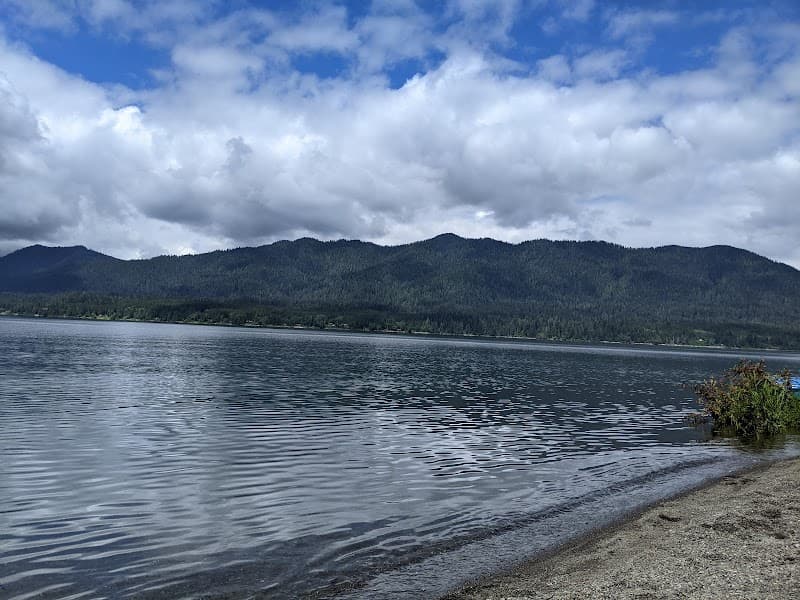 Lake Quinault image 4