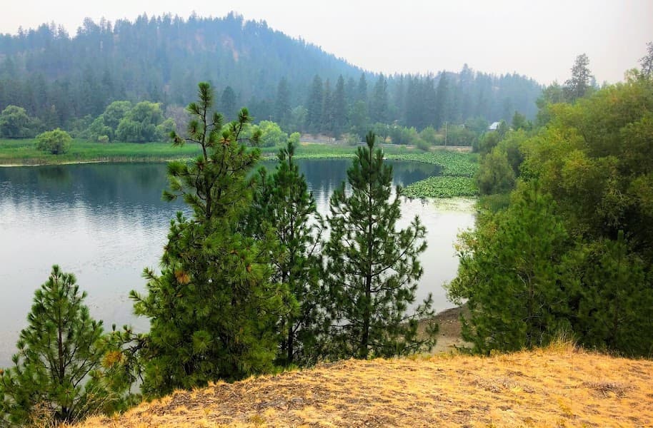 Fish Lake image 4