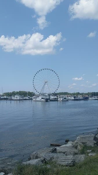 National Harbor Marina image 2