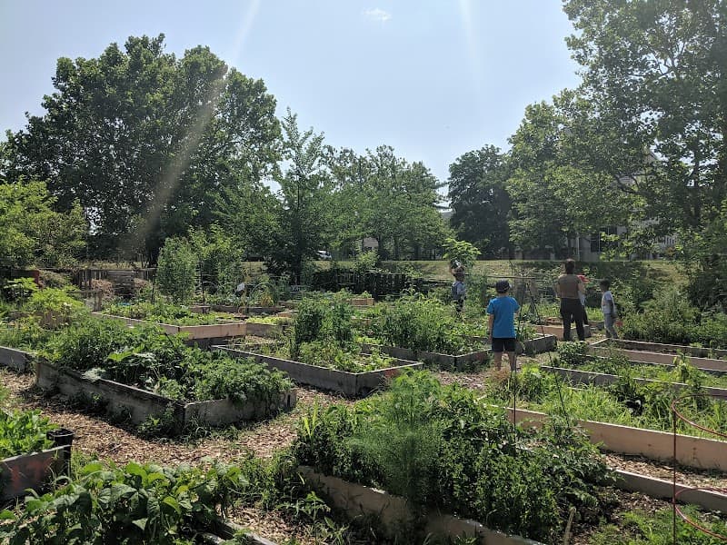 Wangari Gardens thumbnail