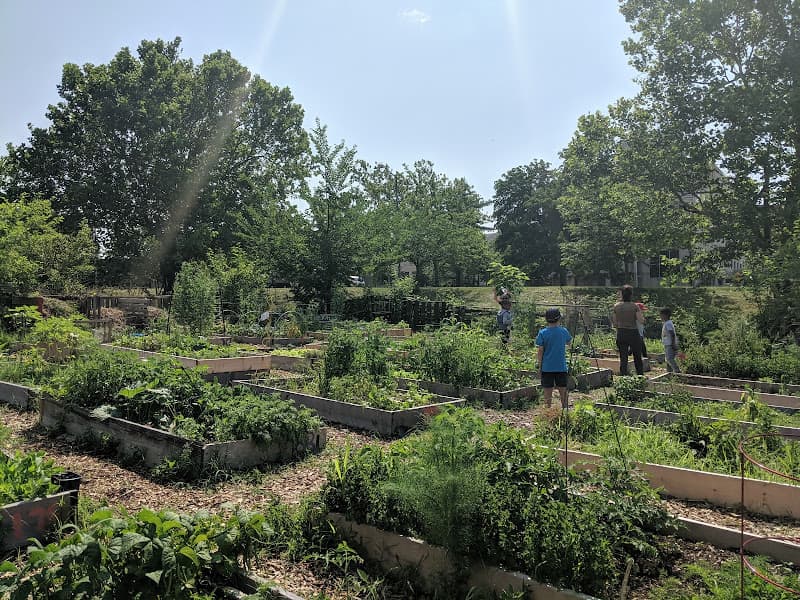 Wangari Gardens - Gardens