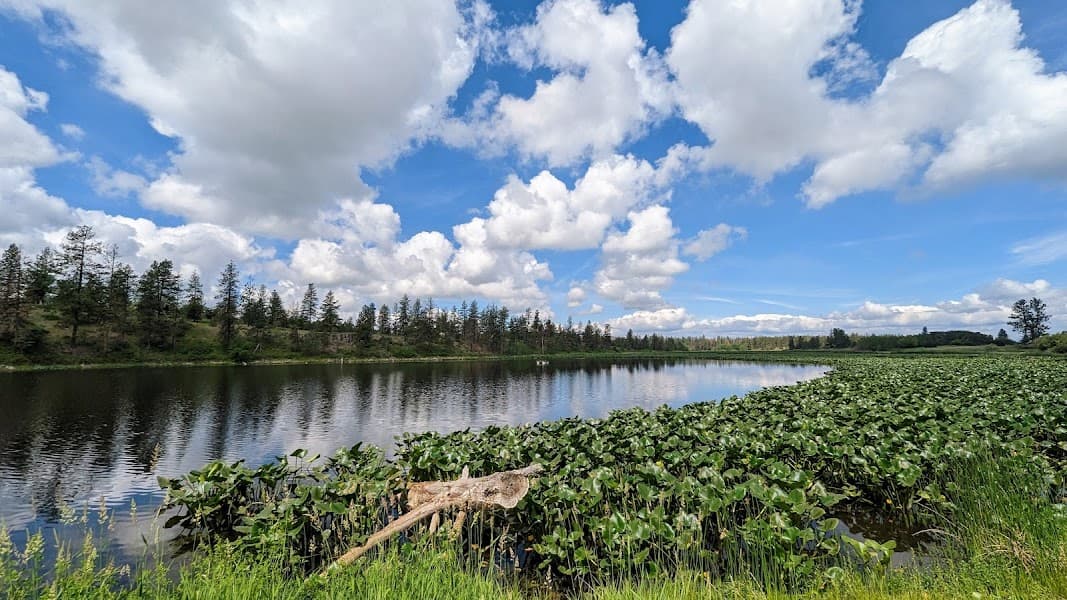 Horseshoe Lake image 4