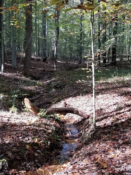 Oak Ridge Campground1 image 4