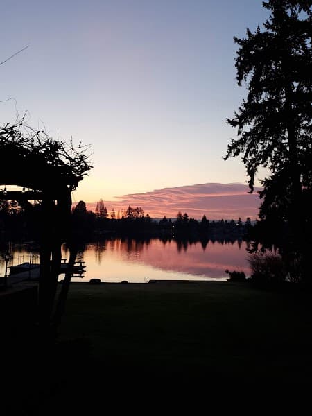 Lake Burien image 2