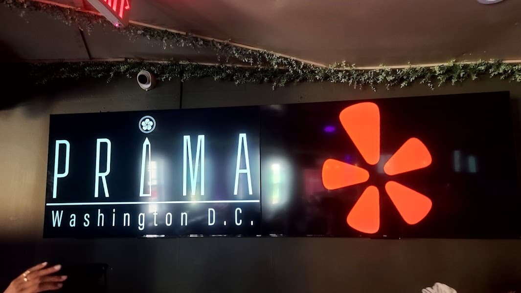 Prima DC image 3