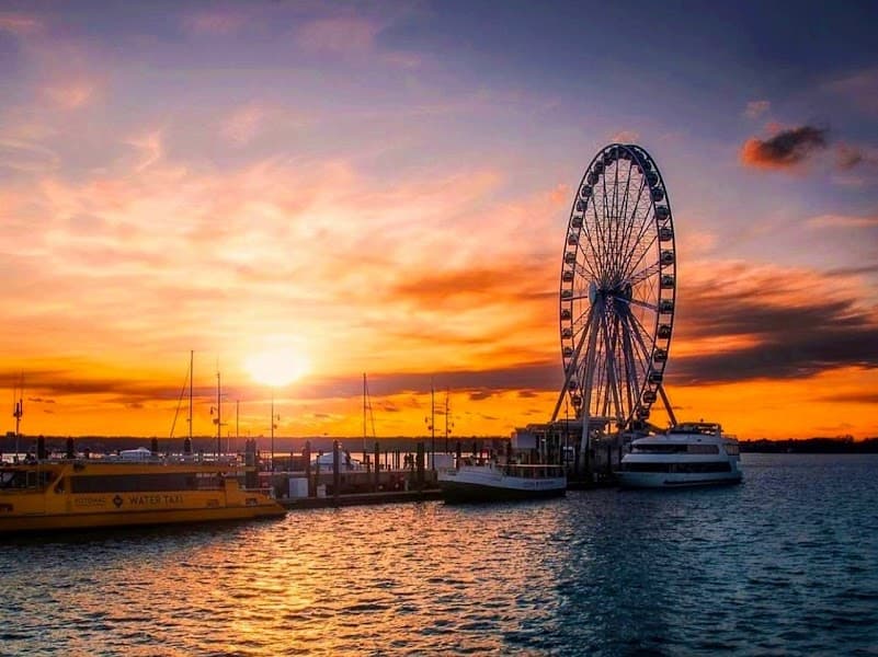 The Carousel at National Harbor image 4