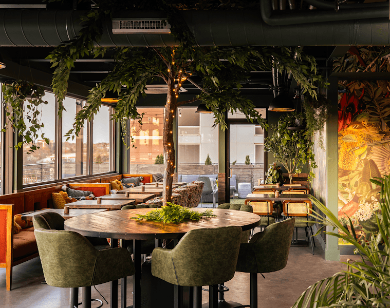 Treehouse Rooftop - Rooftop Dining