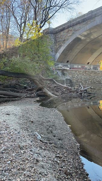 P Street Beach image 1