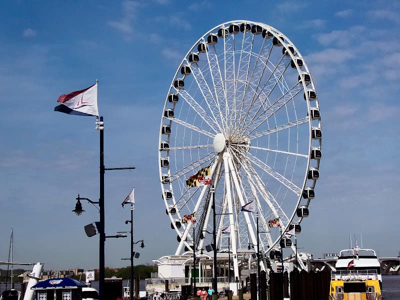 The Capital Wheel - Theme Parks