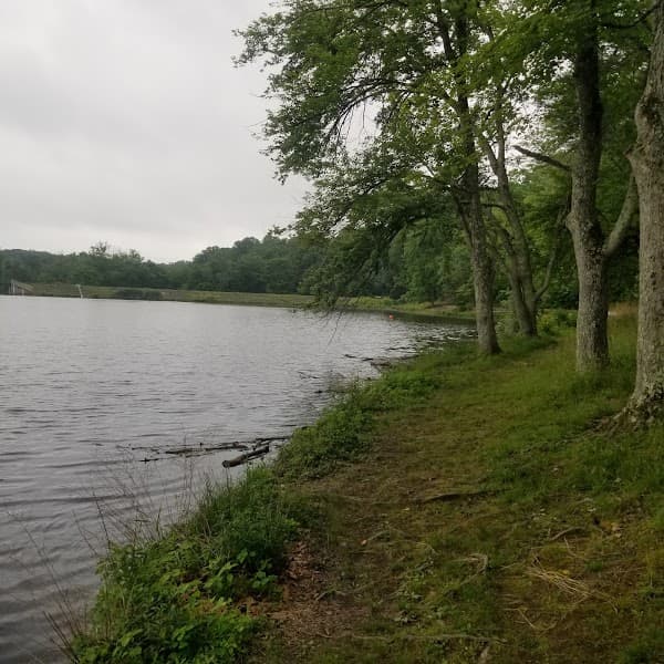 Lake Fairfax Park Campground image 4