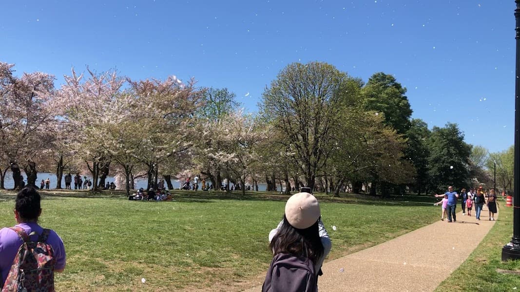 Tidal Basin image 2
