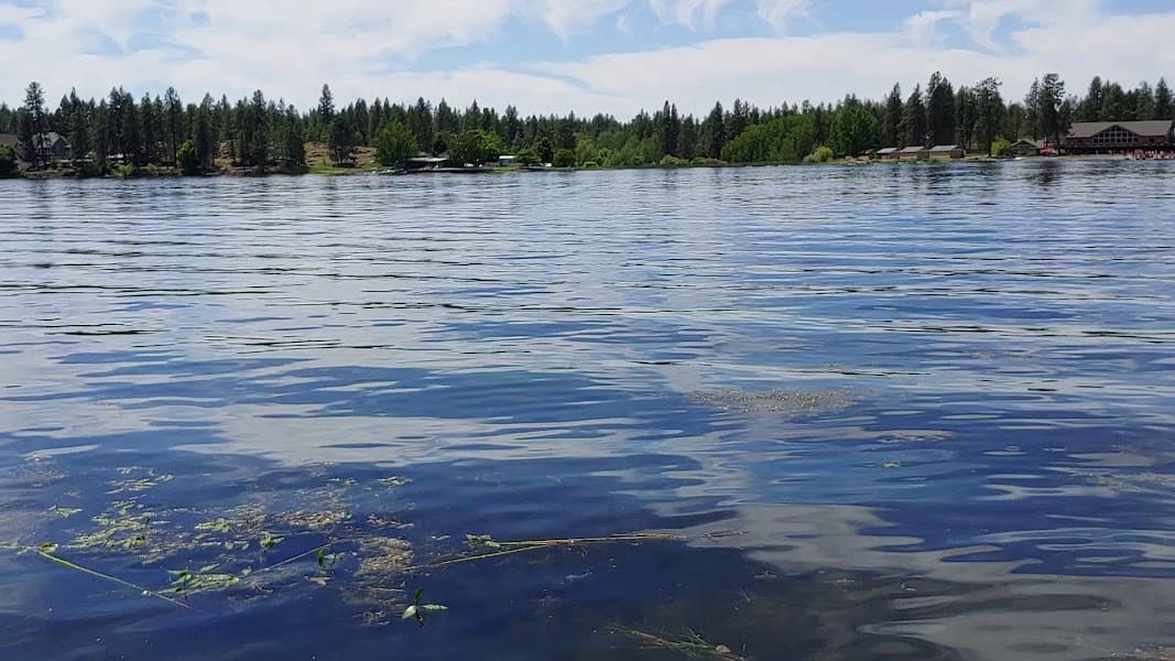 Silver Lake image 2
