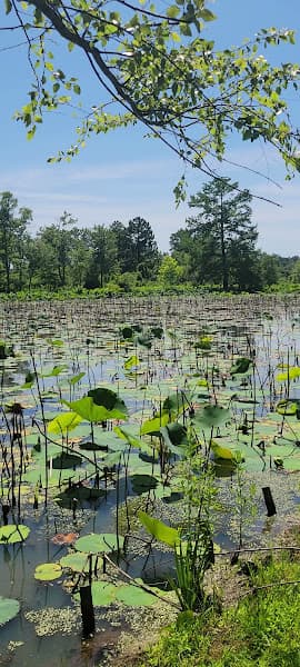 Kenilworth Park & Aquatic Gardens - Water Parks