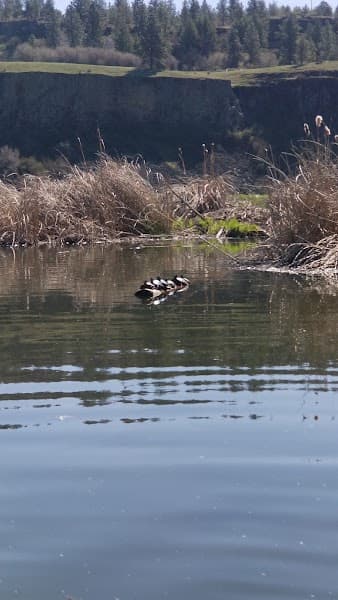 Bonnie Lake image 4