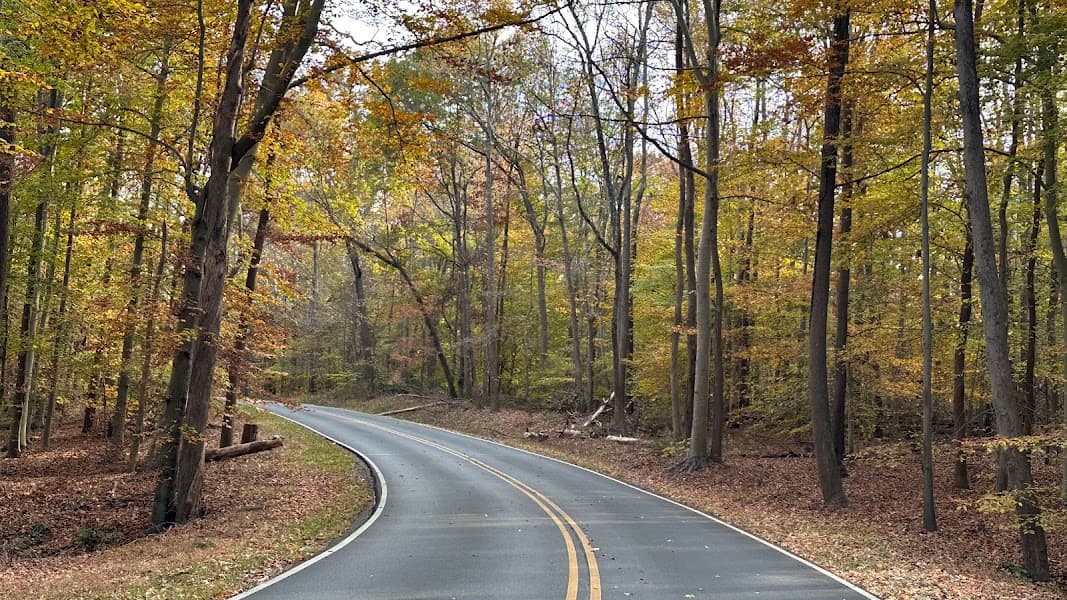 Greenbelt Park image 3
