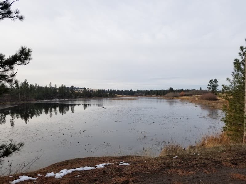 Horseshoe Lake image 3