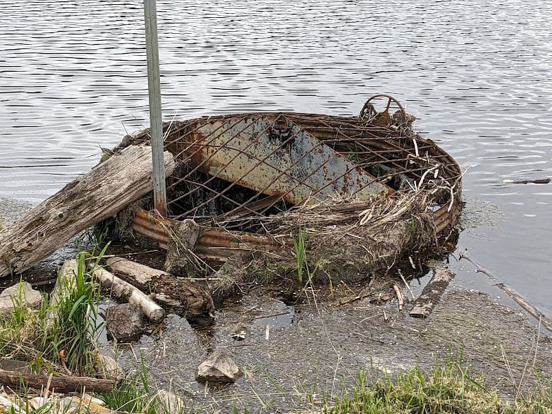 Carlisle Lake image 3