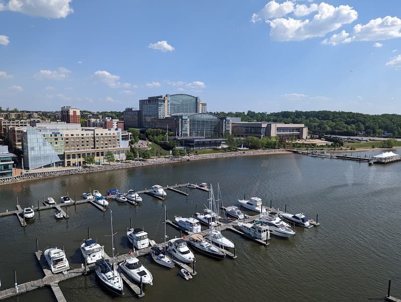 The Capital Wheel image 4