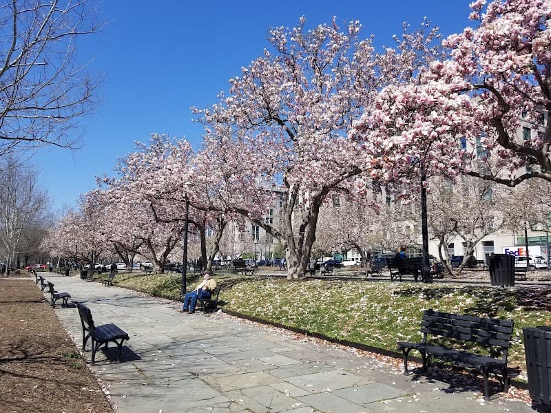 Rawlins Park image 1