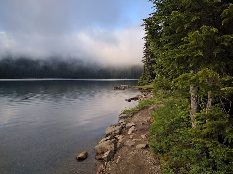 Mowich Lake image 4