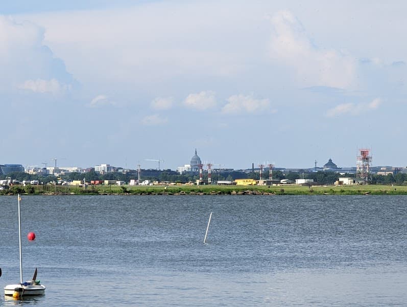 Washington Sailing Marina image 3