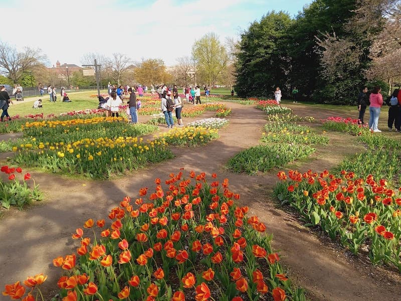 Floral Library image 1