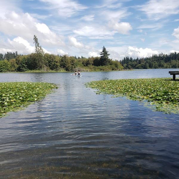 Lake Ballinger image 1