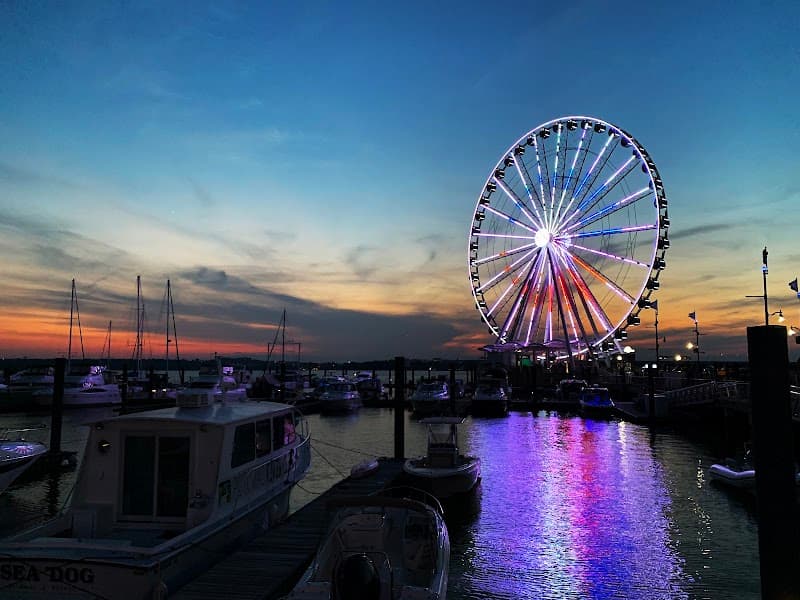 The Capital Wheel image 3