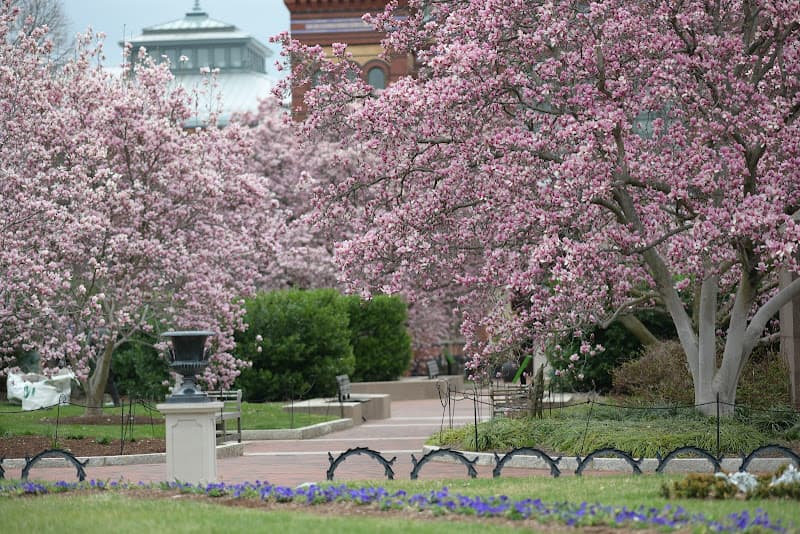 The Moongate Garden - Gardens