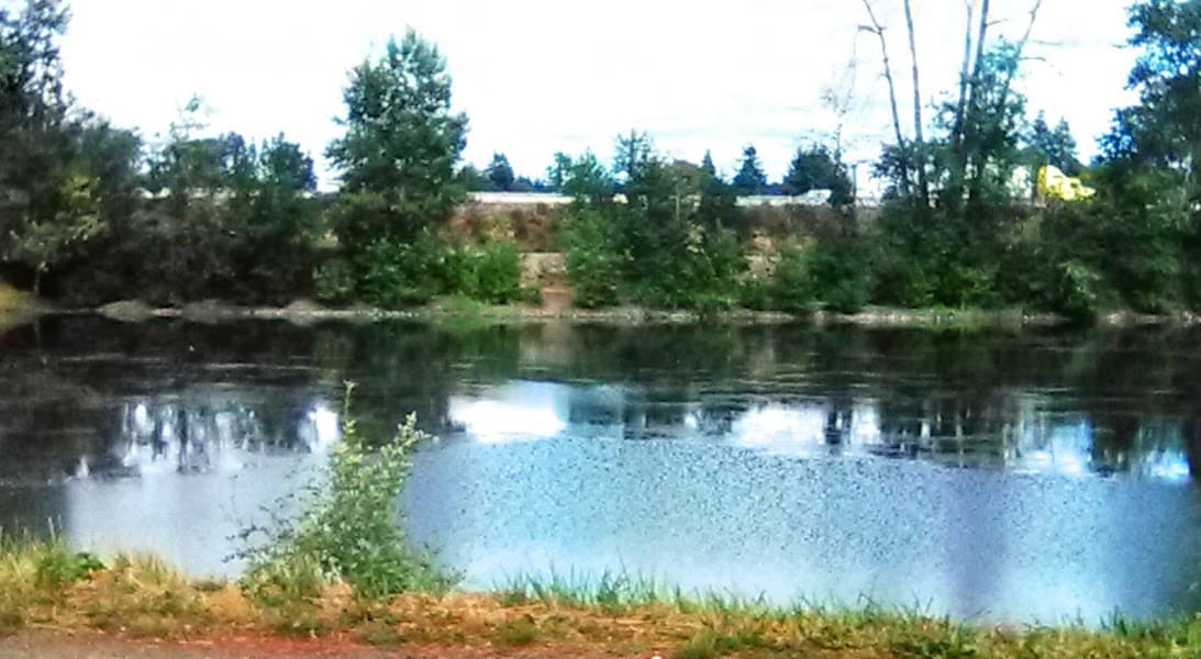 Fort Borst Lake image 4