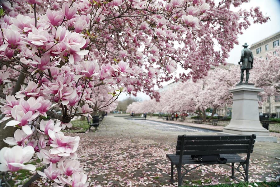 Rawlins Park image 3