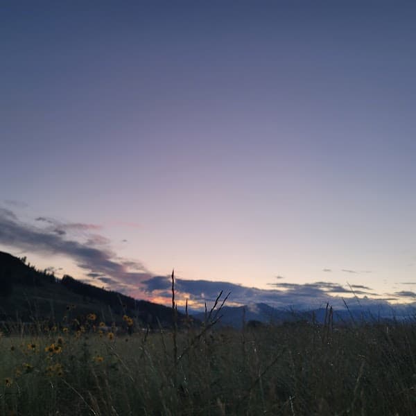 Pearrygin Lake image 4