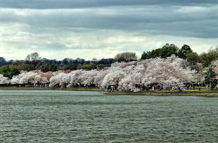 Tidal Basin image 1