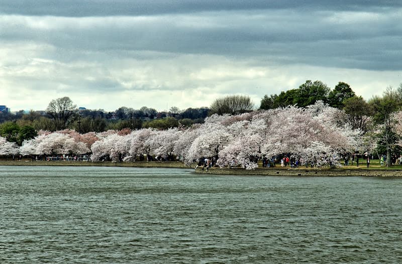 Tidal Basin image 1