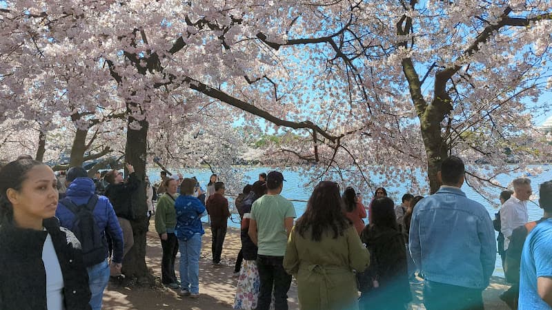 Washington Monument Grounds image 2
