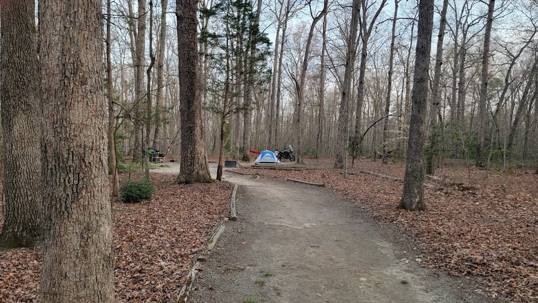 Prince William Forest RV Campground image 4