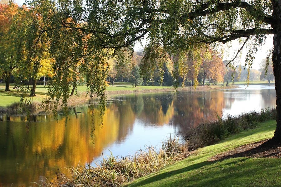 Lake Sacajawea image 3
