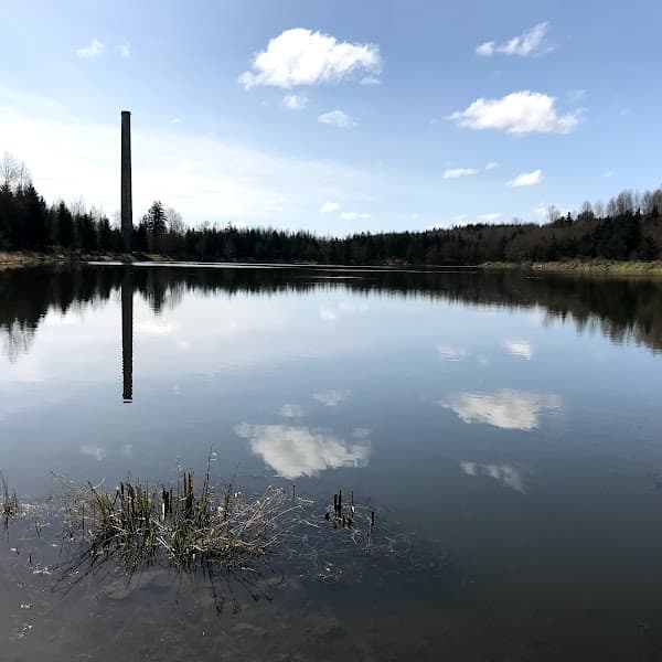 Carlisle Lake image 1