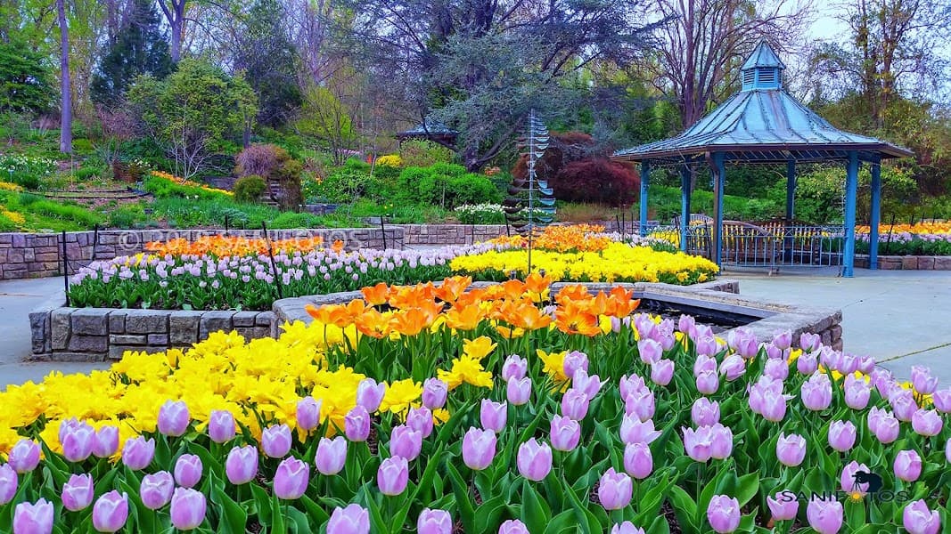 Brookside Gardens image 4