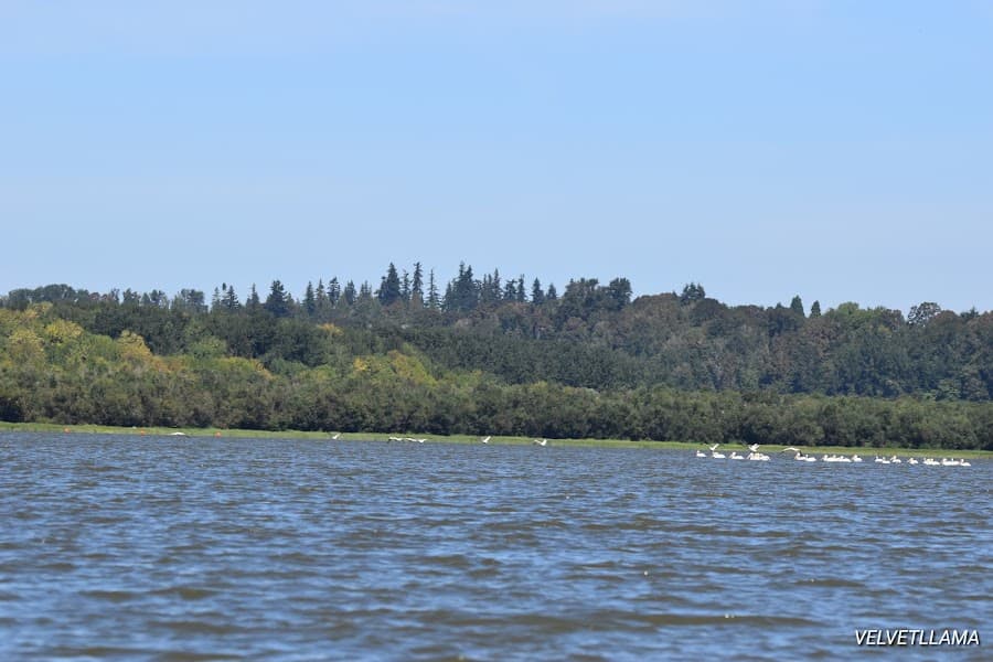 Vancouver Lake image 1