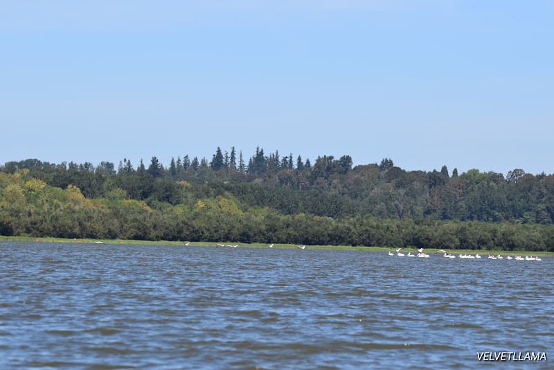 Vancouver Lake - Best Lakes To Paddle Board State