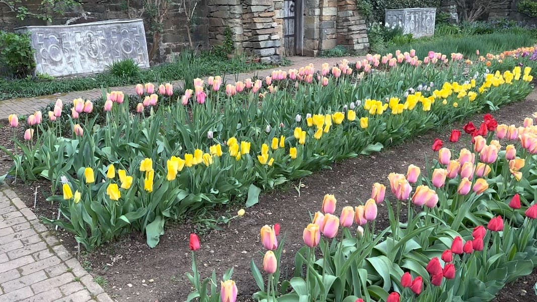 Dumbarton Oaks Gardens image 2
