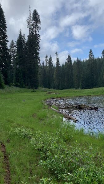 Badger Lake image 2