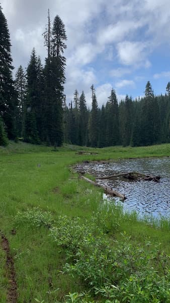 Badger Lake - Lakes Spokane