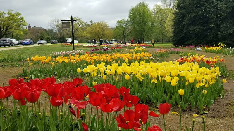 Floral Library - Gardens Georgetown