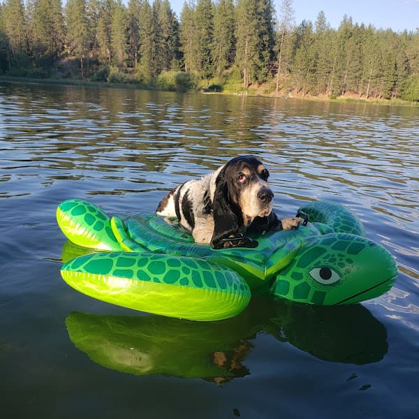 Bear Lake - Lakes Spokane