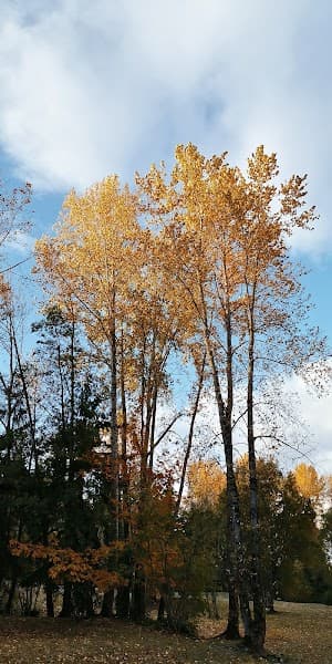 Lake Boren image 3